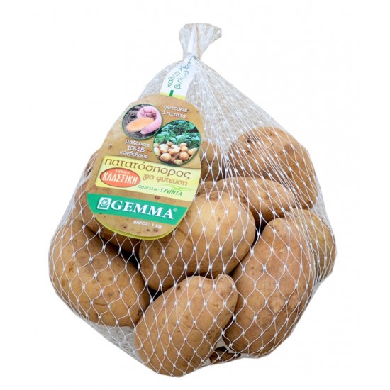 Πατατόσπορος Spunta, Gemma, 1000 gr