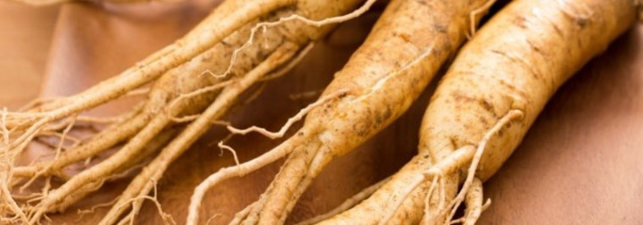 Ginseng